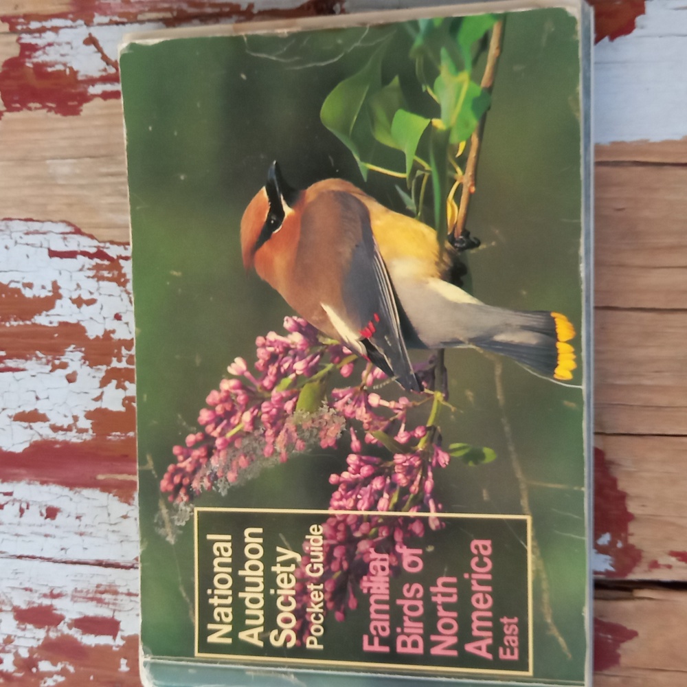 National Audubon Society Pocket Guide Familiar birds of North America East